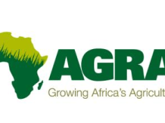 Count on youth to secure Africa’s agricultural future – AGRA