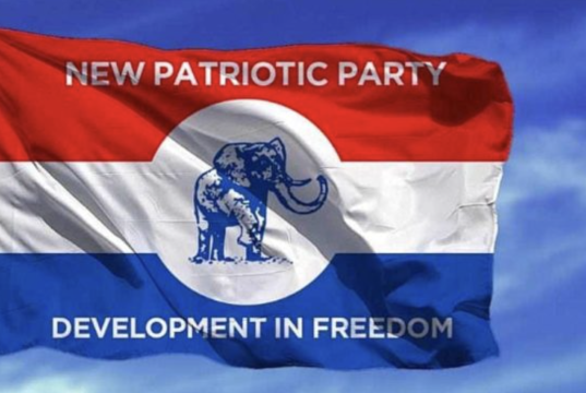 NPP 2026 elections: Nomination window ends with 50 aspirants in race for nine positions