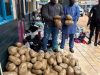 Police arrest two at Asawase Market over suspected narcotic drugs concealed in fertiliser sacks