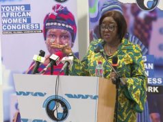 Financial inclusion not the same as financial empowerment for women – Sheila Minkah-Premo