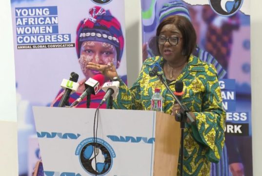 Financial inclusion not the same as financial empowerment for women – Sheila Minkah-Premo