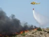 Spain battles to contain one of its deadliest wildfires as at least 12 killed