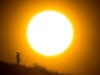 German institute estimates 5,100 heat-related deaths in June heatwave