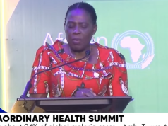 Africa carries 94% of global malaria cases – Amb. Twum-Amoah