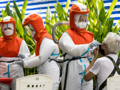 News of disease outbreaks can warp our brains in strange and subtle ways
