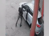 Israeli police officer filmed throwing stun grenade into car in West Bank