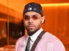 Chris Brown Ordered to Pay Nearly $13 Million to Former Housekeeper Over Dog Attack