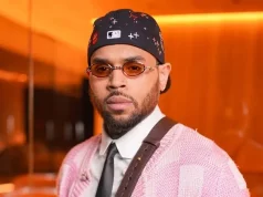 Chris Brown Ordered to Pay Nearly $13 Million to Former Housekeeper Over Dog Attack