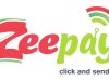 Digital Chamber backs BoG’s Zeepay licence revocation, assures public of payment system stability