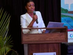 Africa’s AI future must be African-led — Ama Pratt
