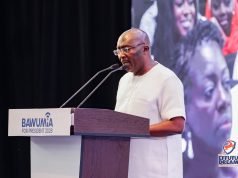 With unity, we will win 2028 election – Bawumia