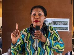 Tema Mayor insists all state projects must go through the Assembly