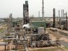 TOR needs capital, technology and expertise to scale production to 100,000 barrels daily – Analyst