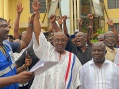 NPP polls: Makafui Woanya re-elected as Volta Regional Chairman