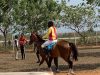Accra’s only public horse racing course destroyed at Borteyman