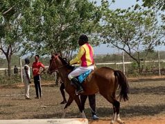 Accra’s only public horse racing course destroyed at Borteyman