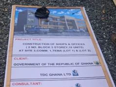 Tema Mayor accused of leading demolition of government project