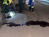 Two killed, eight injured after Toyota Hiace crashes into stationary truck at Dompoase