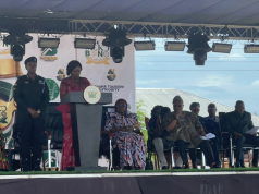 Meko Bono 2026: Vice President pledges agricultural revival as Atebubu hosts grand homecoming