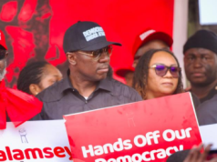‘Democracy under attack’: We’re not against accountability, but against selective justice – Afenyo-Markin