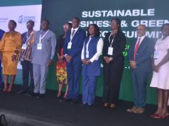 Private capital must lead Ghana’s green industrial push – Finance leaders