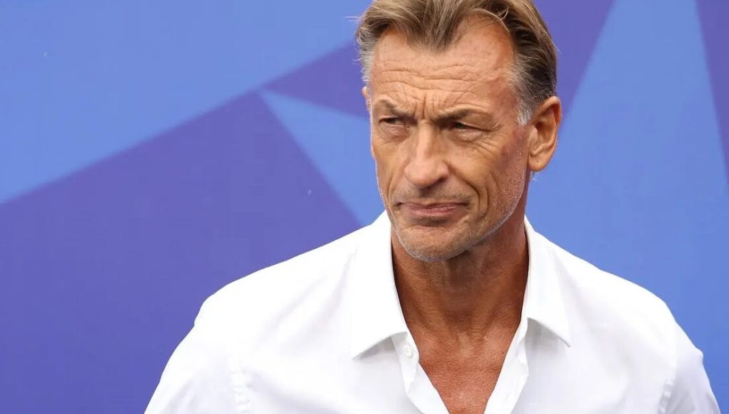 Renard-1200x800-1-1200x630.jpg