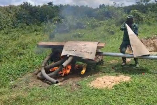 Forestry Commission arrests 12 illegal miners, impounds three excavators in South Formangso Forest Reserve