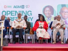 Vice President calls for stronger local pharmaceutical production to reduce medicine imports