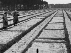 105-year-old investigated for crimes at Nazi PoW camp in Germany