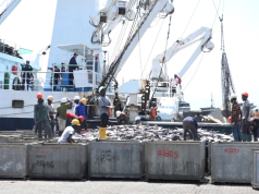 Ghana’s tuna industry in crisis as 20 hook-and-line vessels collapse