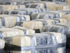 Arrest everyone in the handling chain of cocaine-linked container – Kofi Bentil