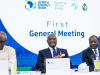 African institutions launch $5bn energy bank as Western lenders pull out