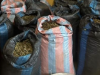 Police arrest man for allegedly cultivating cannabis along Volta Lake
