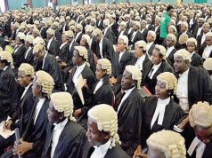 Is Ghana producing too many lawyers? What is the best lawyer-to-citizen ratio?