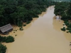 Samartex Timber and Plywood Company reels under galamsey as illegal miners cut into its operations and livelihoods