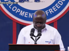 Let us vote in peace and accept results in good faith – Bawumia to NPP