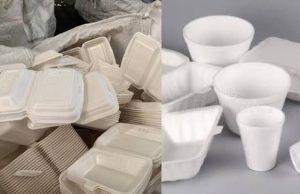 Styrofoam Ban Is On for January 1