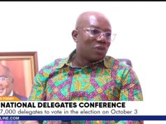 NPP sets up 31 voting centres to speed up national executive elections