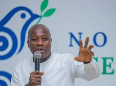 Ghana needs stronger ESG enforcement, sustainable financing – Local Government Minister