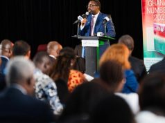 Stable economy, cheaper credit key to youth jobs — BoG Governor