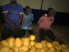 4 arrested, 142 parcels of suspected Indian hemp seized as officers reject GH¢50k bribe