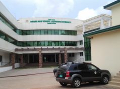 DVLA prepares electronic queue system to reduce congestion