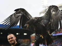 Crystal Palace urged to retire bald eagle mascot