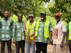 TCDA to adopt Upper West’s MATCO mango farm as northern prototype, issues warning against felling shea trees