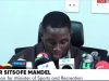 World Cup visa scandal: Sports Ministry not shielding anyone – Sports Minister’s special aide