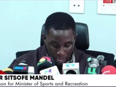 World Cup visa scandal: Sports Ministry not shielding anyone – Sports Minister’s special aide